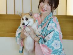 -柴犬小屋·柴餐厅·狗咖食堂(金鼎广场店)