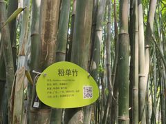 -晓港公园