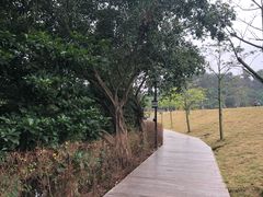 -大屏嶂森林公园