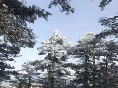 -秦岭风景区