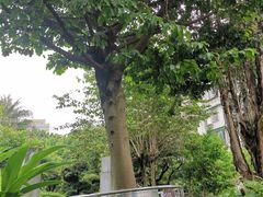 -广州神农草堂中医药博物馆