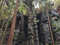 -梭布垭石林景区