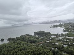 -野菌皇海景野生菌火锅(滨海大道店)