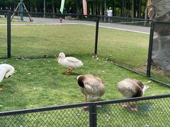 -上海长兴岛郊野公园