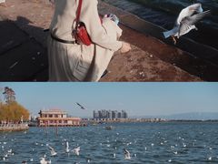 -滇池海埂公园