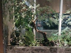 -海立阁海鲜江浙菜(漕河泾印象城店)
