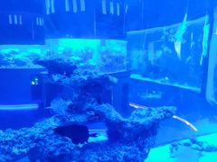 -上和臻品中国菜(花园街店)