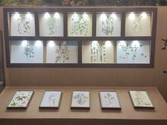 -深圳市当代艺术与城市规划馆
