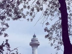 -日照灯塔风景区