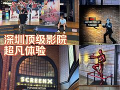 -CGV影城(壹方城IMAX店)