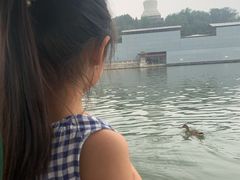 -北海公园-停车场