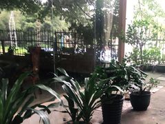 -许鲜生健康生活馆·精细潮菜(奥绅体育公园店)