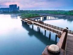 -五缘湾湿地公园