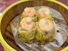-一煲鸽