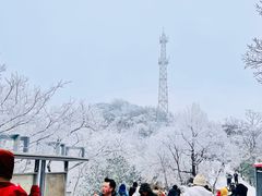 -紫金山山顶公园