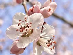 -安定门(地铁站)