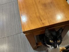 -秦之味陕西特色面馆(中华路店)