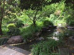 -新湖明珠城
