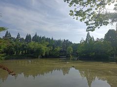 -瀛洲公园