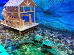 -酷嗒动物文化乐园(cutezoo西溪乐天城店)