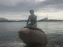 -美人鱼