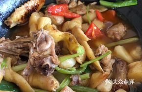 Pan-Seared Golden Fish