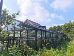 -北马山庄植趣咖啡