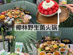 -西双版纳原始森林公园