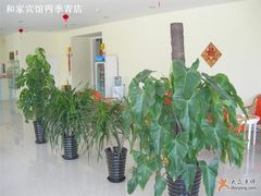 大厅-和家宾馆(四季青店)