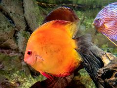 -上海海洋水族馆