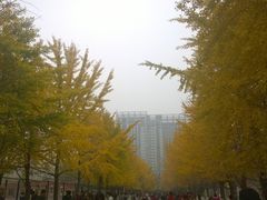 -辽宁大学(崇山校区)