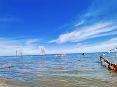 -青海湖国家重点风景名胜区
