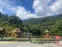 -西双版纳原始森林公园