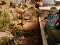 -陕西自然博物馆