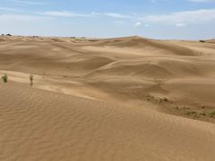 -恩格贝生态旅游区