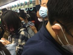 -宋家庄(地铁站)