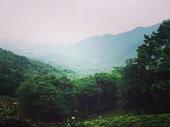 龙井菜馆-龙井壹号·茶缘山景宴(龙井村店)