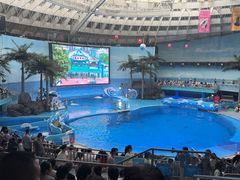 -海合安成都极地海洋公园