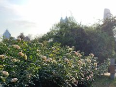 -人民公园(罗湖区)