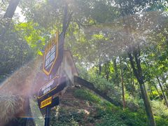 -中国大熊猫保护研究中心雅安碧峰峡基地