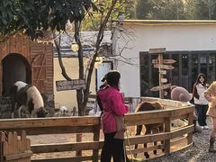 -HERRE·FARM 赫尔露营农场·团建聚会包场