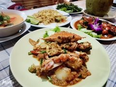-Jungle Kitchen