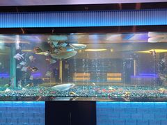 -碧涛阁·泡泡海洋·汤泉洗浴(王府花园店)