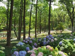 -武汉园博园(武汉自然博物馆)