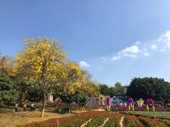 -松山湖梦幻百花洲