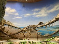 -延庆地质公园博物馆