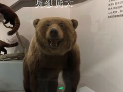 -武汉园博园(武汉自然博物馆)