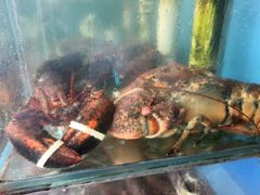 -香满居张记小厨私房菜(青岛站店)