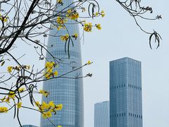 -深圳人才公园
