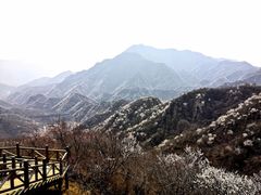 -大岭沟猕猴桃谷风景区